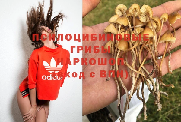 таблы Алзамай