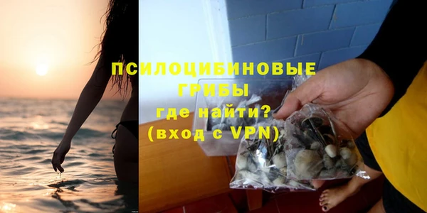 дурь Алексин