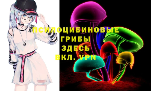 дурь Алексин