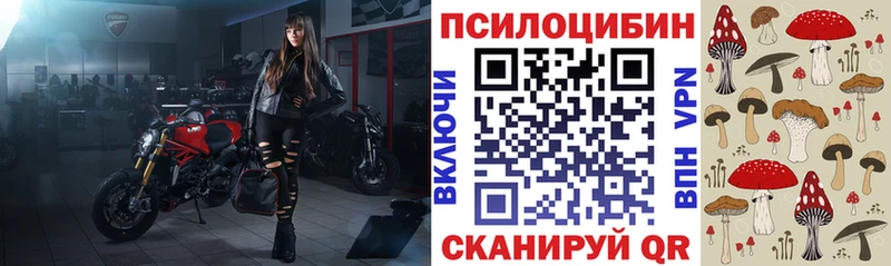 Псилоцибиновые грибы мухоморы  кракен маркетплейс  Алексеевка  что такое наркотик 